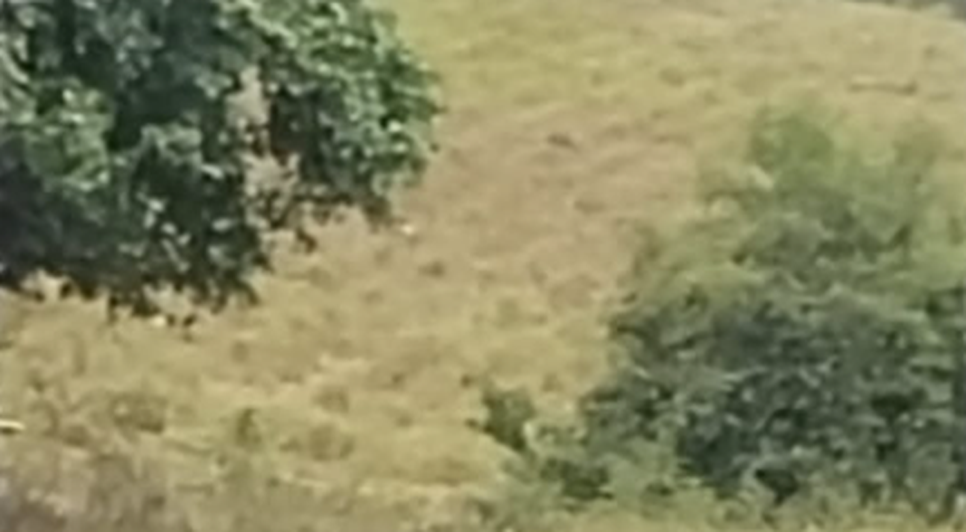 Mulher desaparecida é encontrada morta na Zona Rural de Ribeirópolis
