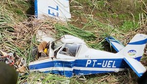 FOTO_6_-_QUEDA_DE_AVIAO_AGRICOLA_NO_INRTERIO.max-770x515 / Foto: Foto: SSP/ Divulgação