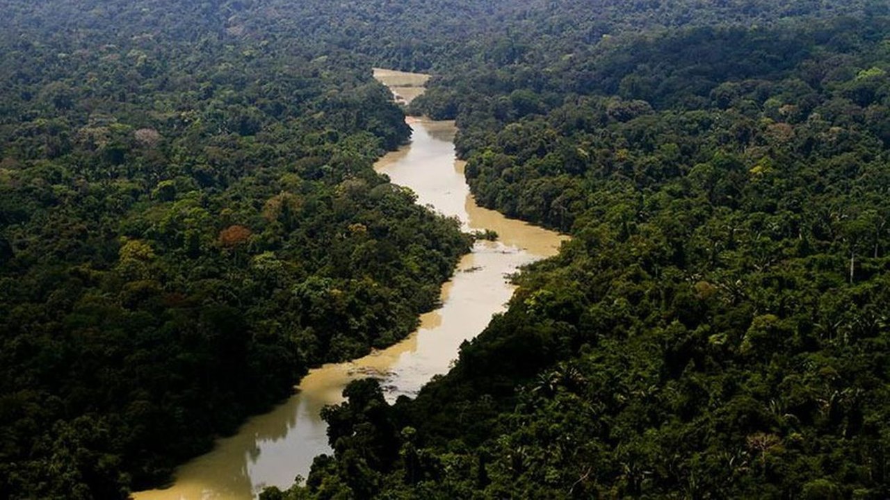 Foz do Amazonas: Petrobras obtém licença do Ibama para pesquisar petróleo na região