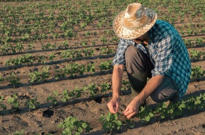Agricultores garantem oportunidade de quitar dívida ativa da União