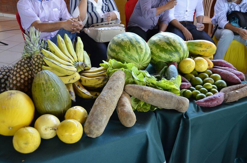 Prefeitura de Palmeira realiza seminário sobre Recursos Hídricos, Irrigação e Desenvolvimento Rural Sustentável