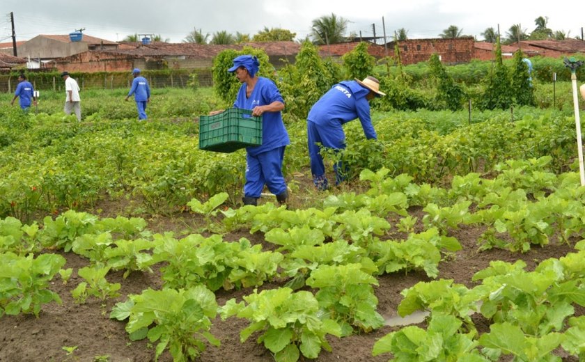 Toneladas de alimentos orgânicos foram cultivados no sistema prisional de AL em 2019