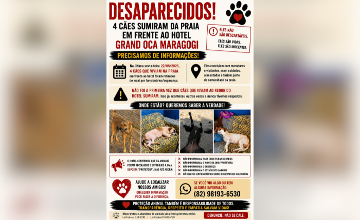 Moradores e protetores denunciam desaparecimento de cães retirados de área próxima a hotel em Maragogi