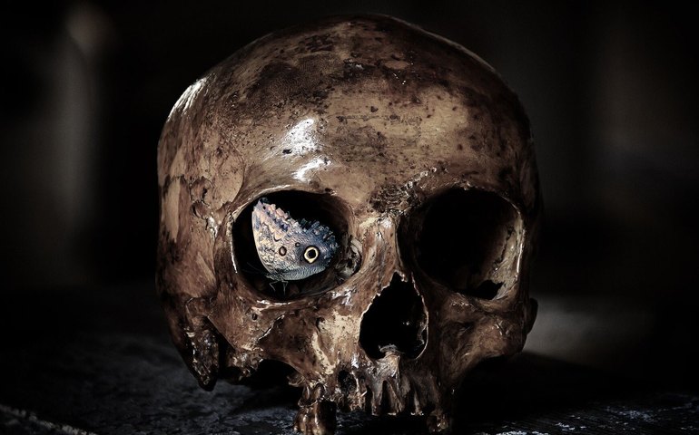 Revelam idade do 'crânio com chifre' descoberto em uma caverna na Grécia (FOTO)