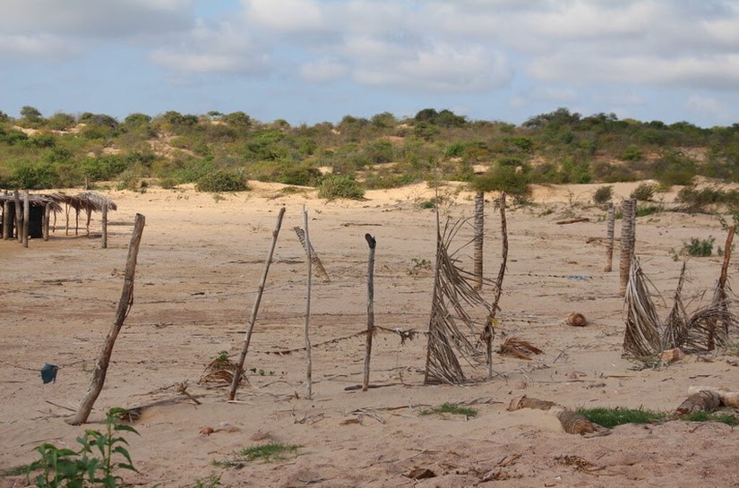 Com mais de 90% do território suscetível à desertificação, Pernambuco recebe seminários sobre o tema a partir de 23 de março