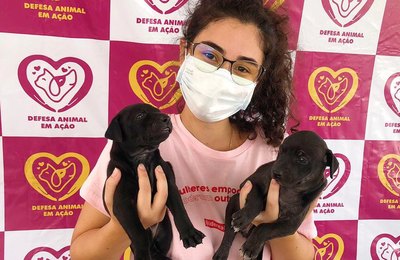 Castramóvel da Teca Nelma inicia castrações de animais neste fim de semana