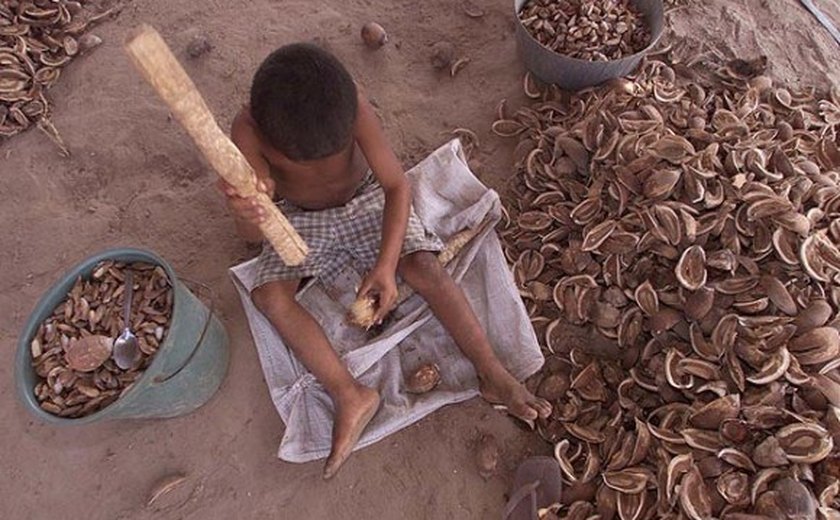 Alagoas se prepara para mobilização em defesa da erradicação do trabalho infantil
