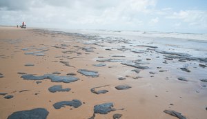 MANCHAS DE ÓLEO / Foto: ASN