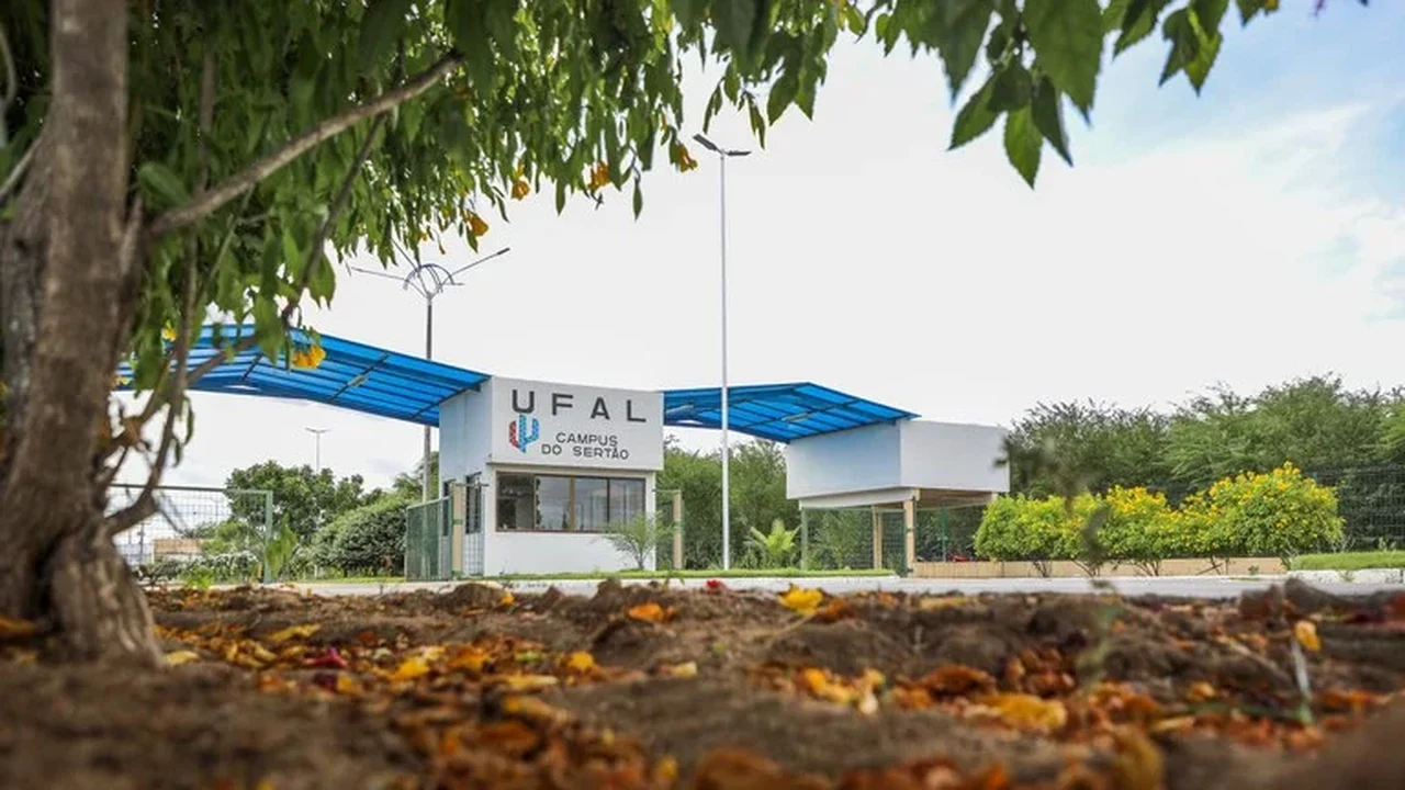 Ufal conquista 39 bolsas de produtividade e fortalece ciência alagoana