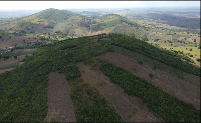 Área de mais de 14 hectares em Arapiraca abriga projeto Pereira Velho e pode impulsionar mineração de ouro em Alagoas Área de mais de 14 hectares em Arapiraca abriga projeto Pereira Velho e pode impulsionar mineração de ouro em Alagoas