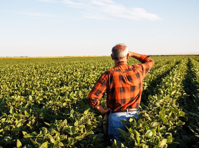 Prazo para envio do VTN termina em 30 de abril; CNM alerta os gestores