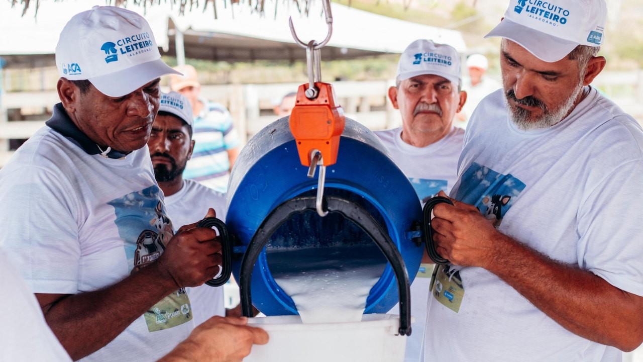 Circuito Leiteiro Alagoano: uma grande vitrine do rebanho de agricultores familiares este ano