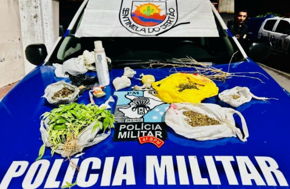 plantio de maconha / Foto: Reprodução: Foto/ Redes Sociais