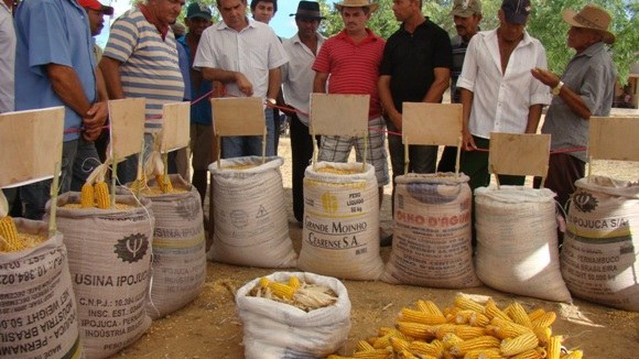 120 agricultores de Ibateguara recebem caminhão nesta quinta