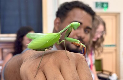 Daqui pro Mundo: alunos alagoanos visitam museu de história natural em Bournemouth