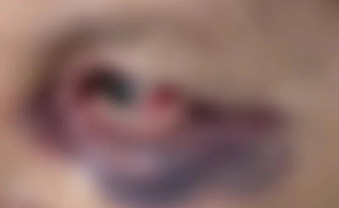 Filho é preso por agredir mãe idosa em Palmeira dos Índios
