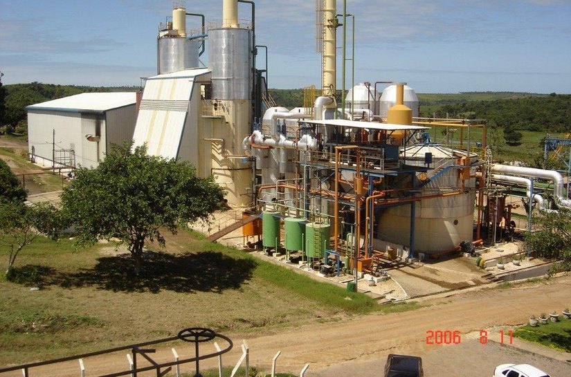 Pindorama planeja plantio de cana com técnica de  redução de sementes