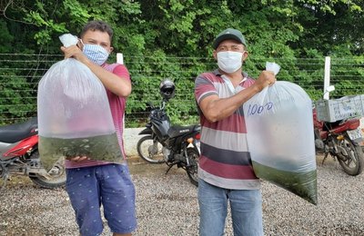 Seagri fará a doação de mais de 10 mil alevinos em Tanque d'Arca nesta sexta-feira (14)
