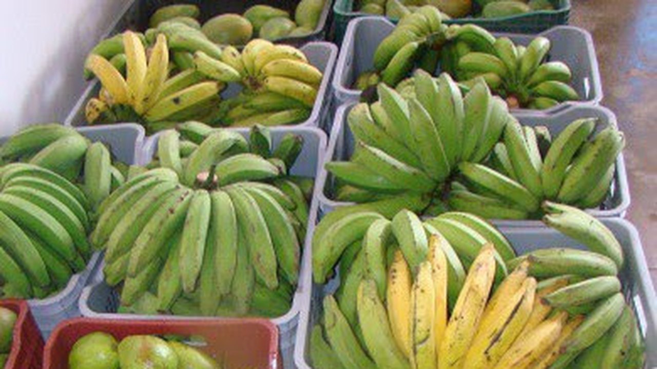 Unidade de Beneficiamento de Frutas irá beneficiar cerca de 2 mil agricultores