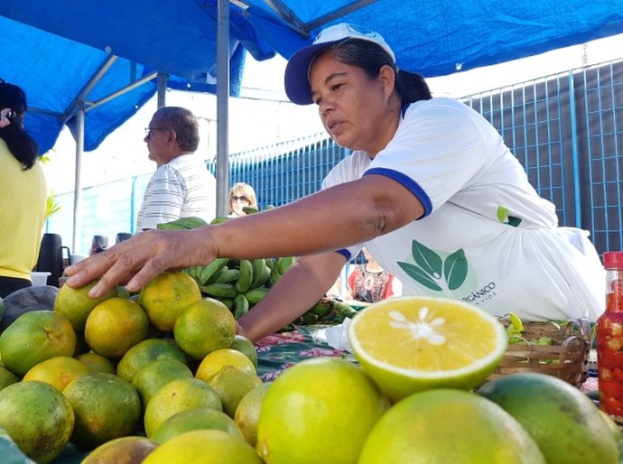 Secretaria de Agricultura promove mais uma feira de orgânicos