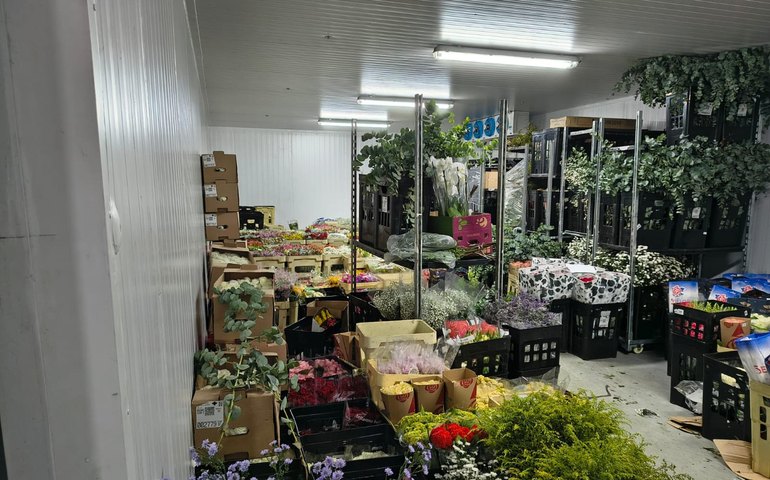 Sefaz apreende R$ 100 mil em flores sem nota fiscal em depósito irregular