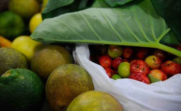 Maior consumidor de agrotóxicos do mundo, o Brasil já aprovou 505 novos registros