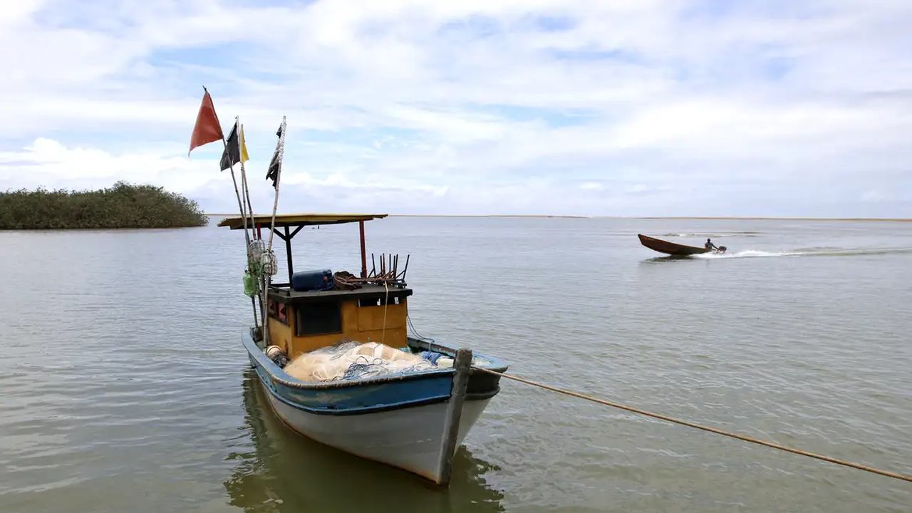 Desastre da Samarco: após 10 anos, pesca volta a ser liberada na foz do rio Doce