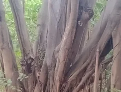 WhatsApp Image 2026-03-19 at 19.44.08 (4).jpeg 