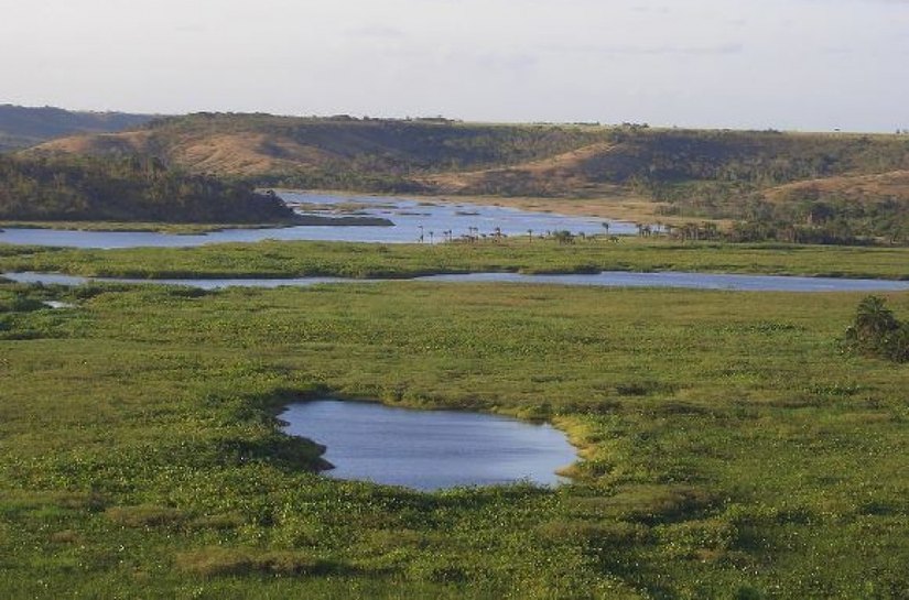 IMA iniciará reflorestamento às margens do rio Piauí, em Coruripe