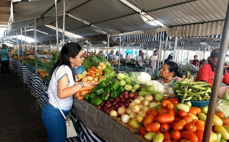 Prefeitura realiza ações de combate ao abuso e exploração sexual de crianças e adolescentes no período pré-carnavalesco