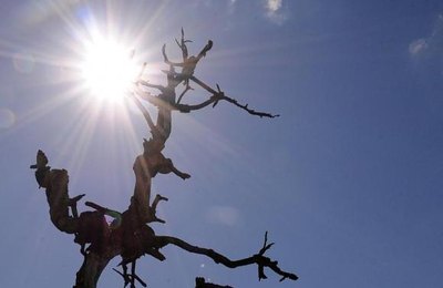 Estudo mostra que seca avança no Nordeste e assume contornos severos