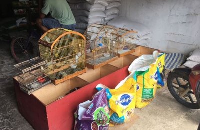 Fiscalização do IMA flagra irregularidades no Agreste e Litoral Sul
