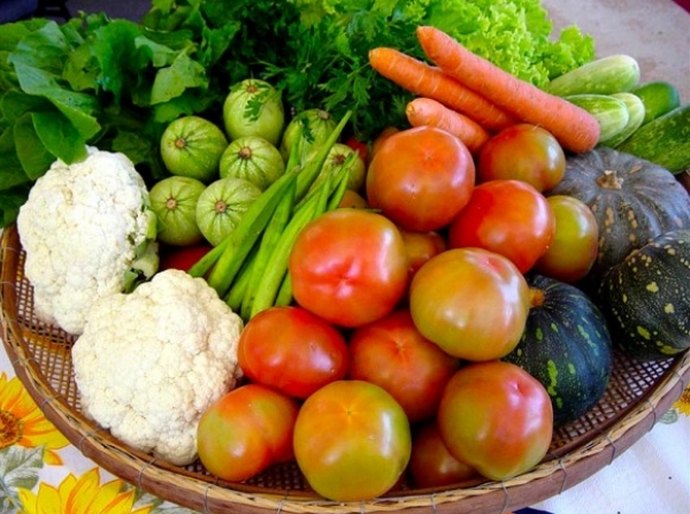 Plano Estadual de Segurança Alimentar vai priorizar população mais vulnerável