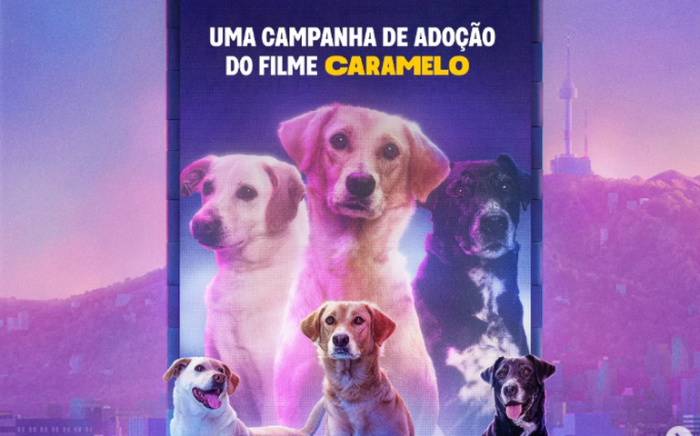 'Caramelo': Netflix lança campanha de adoção inspirada no filme