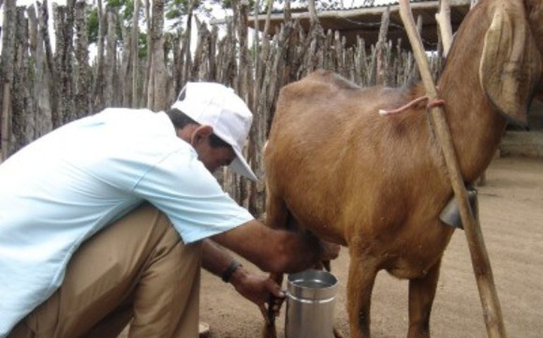 Sertão de Alagoas será pioneiro na expansão do Programa Balde Cheio