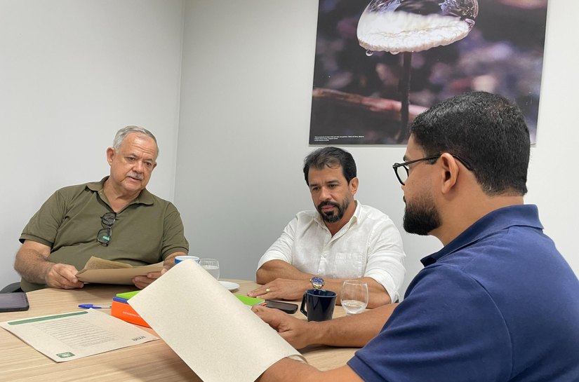 IMA divulga balanço de novembro do Conselho de Administração