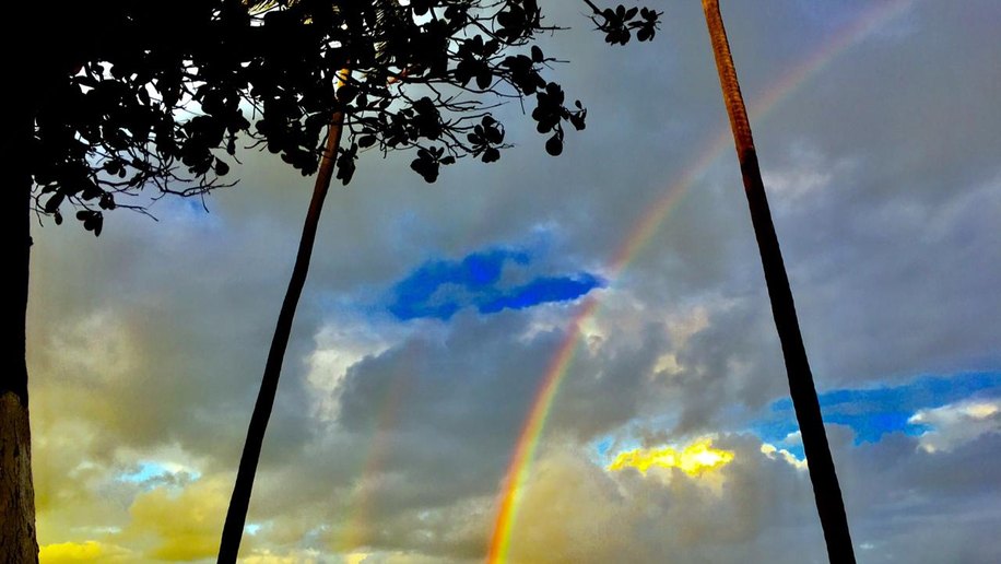 A Energia das Cores