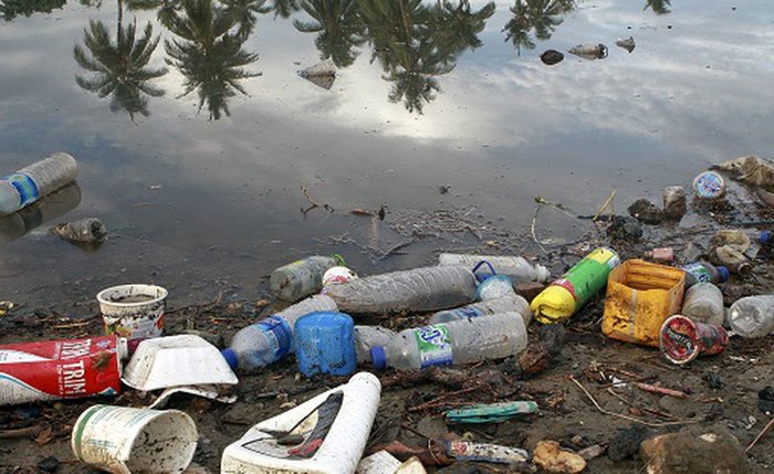 Plásticos são poluentes do meio ambiente e, agora, cientistas comprovam que poluem o corpo humano