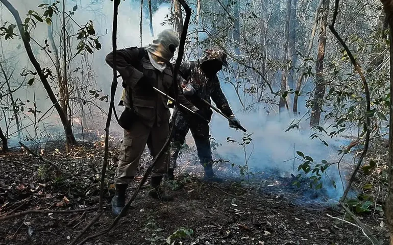 Governo reforça ações de combate ao fogo no Pantanal