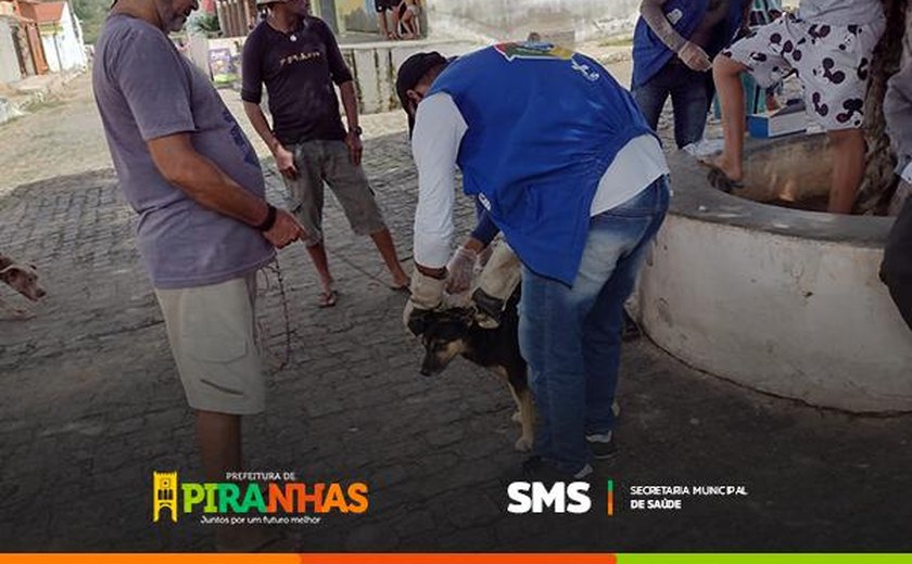 Prefeitura de Piranhas realiza testes rápidos em cães para prevenir calazar 