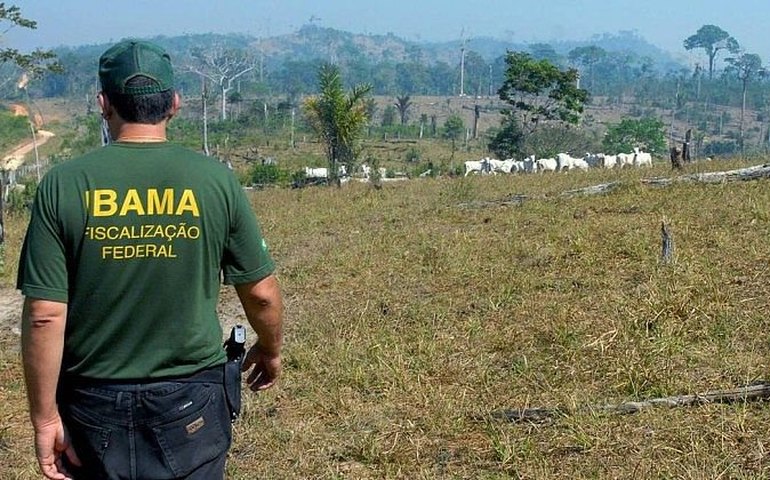 Debate aponta divergência entre Ibama e órgãos estaduais ambientais