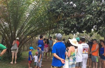 Serra da Barriga se notabiliza como herança cultural em solo alagoano