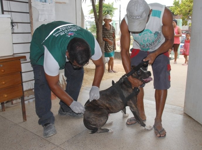 Estado de Alagoas não registra casos de raiva humana há uma década