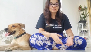 campanha de adoção / Foto: Reprodução: Foto/ Redes Sociais