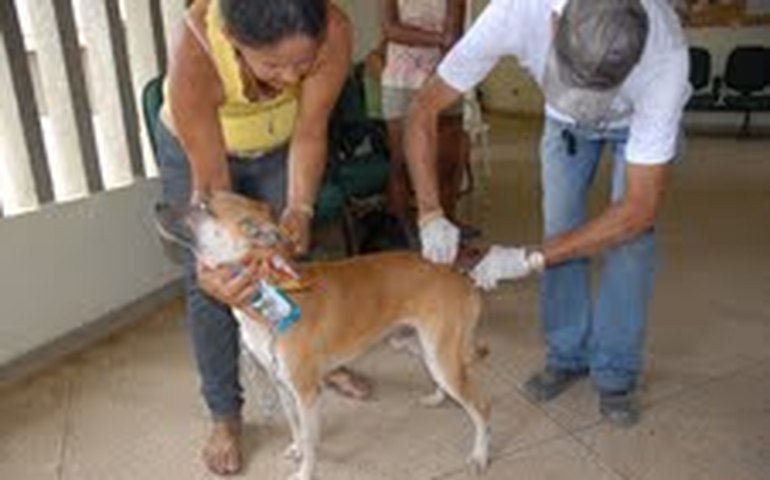 Sesau realiza Dia D de Vacinação Antirrábica neste sábado