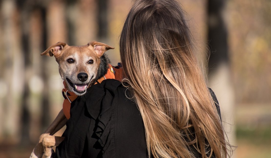 Adotar um pet é ato de amor que precisa ter muita responsabilidade