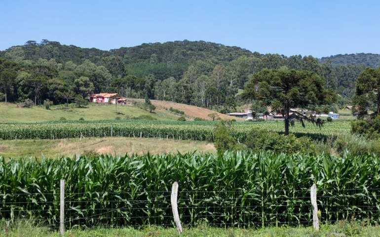 Nova lei prorroga até 2030 prazo para regularização de imóveis na fronteira