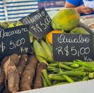Feira da Agricultura Familiar em Murici terá participação de produtores de oito municípios alagoanos