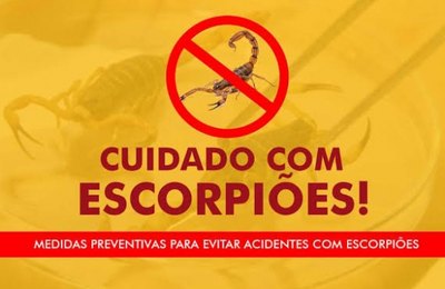 Verão: Secretaria de Saúde de Palmeira alerta para cuidados com escorpiões