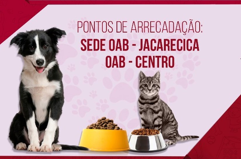 OAB/AL arrecada ração para animais abandonados em Maceió